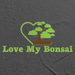Love My Bonsai logo