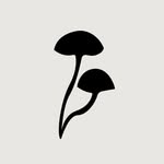 Auri Nutrition logo