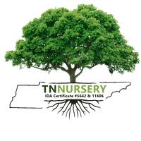 TN Nursery logo