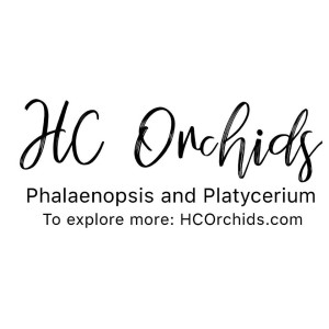 HCorchids logo
