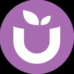 Ube Superfood logo