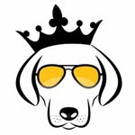 Doggykingdom logo